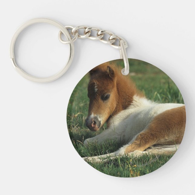 Miniature Foal Laying Down Key Ring (Front)