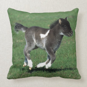 Miniature Foal Running Cushion