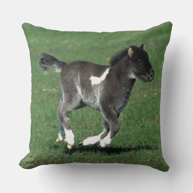 Miniature Foal Running Cushion (Front)