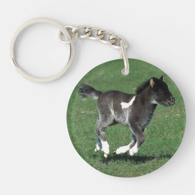 Miniature Foal Running Key Ring (Front)