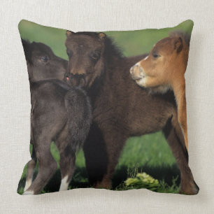 Miniature Foals 1 Cushion