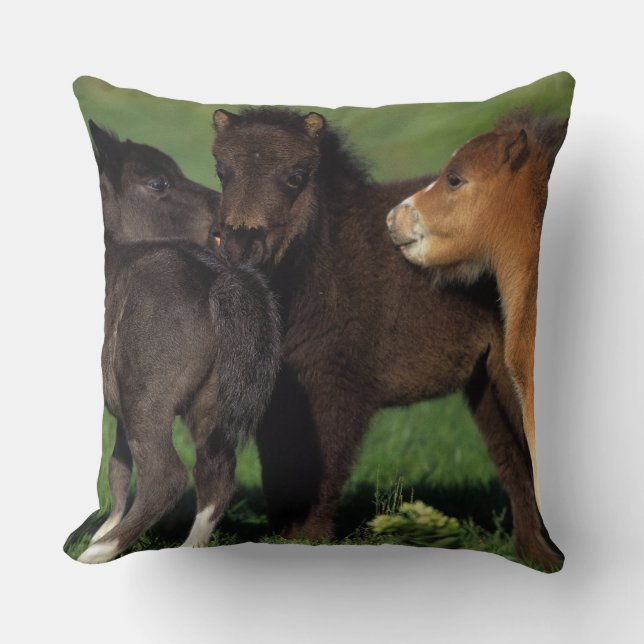 Miniature Foals 1 Cushion (Front)