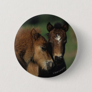Miniature Foals 2 6 Cm Round Badge