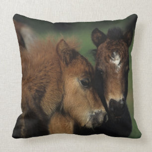 Miniature Foals 2 Cushion