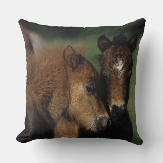 Miniature Foals 2 Cushion (Front)