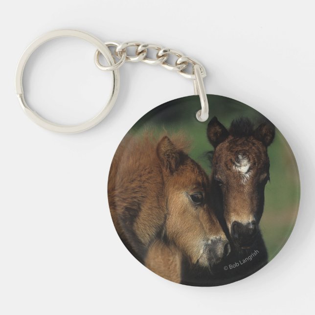 Miniature Foals 2 Key Ring (Front)