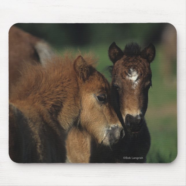 Miniature Foals 2 Mouse Mat (Front)