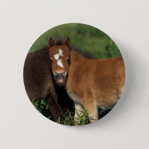 Miniature Foals in Grass 6 Cm Round Badge