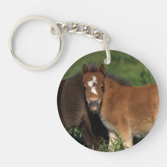 Miniature Foals in Grass Key Ring (Front)