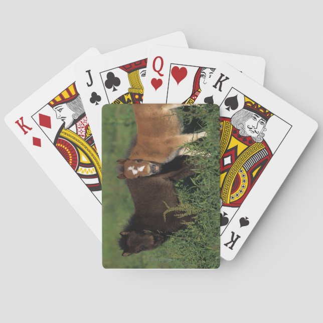 Miniature Foals in Grass Playing Cards (Back)