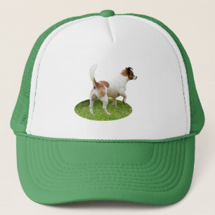 Miniature Fox Terrier Alert, Truckers Hat