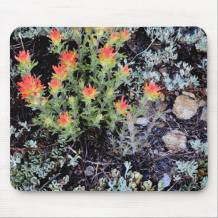 Miniature Garden at Gem Lake Mouse Mat