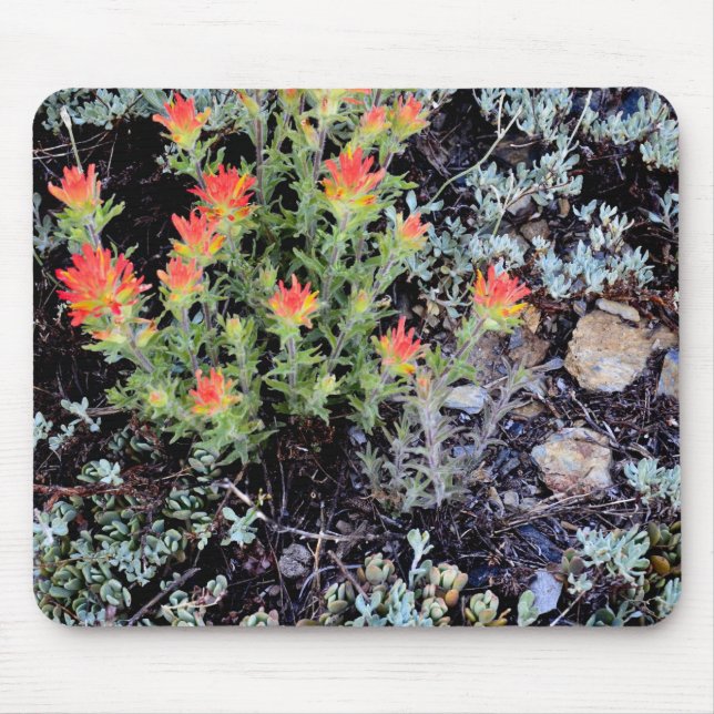 Miniature Garden at Gem Lake Mouse Mat (Front)