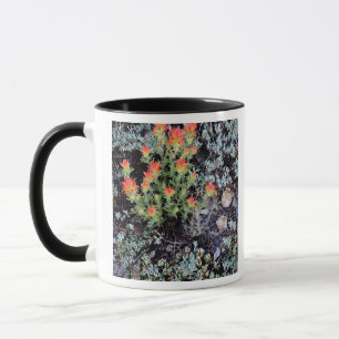 Miniature Garden at Gem Lake Mug