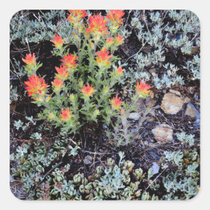 Miniature Garden at Gem Lake Square Sticker