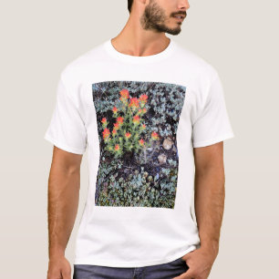 Miniature Garden at Gem Lake T-Shirt