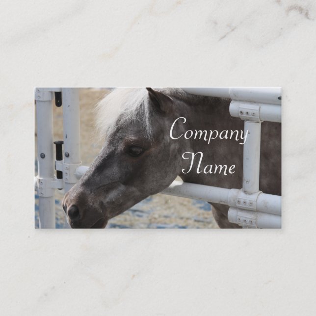 Miniature Horse Business Card (Front)