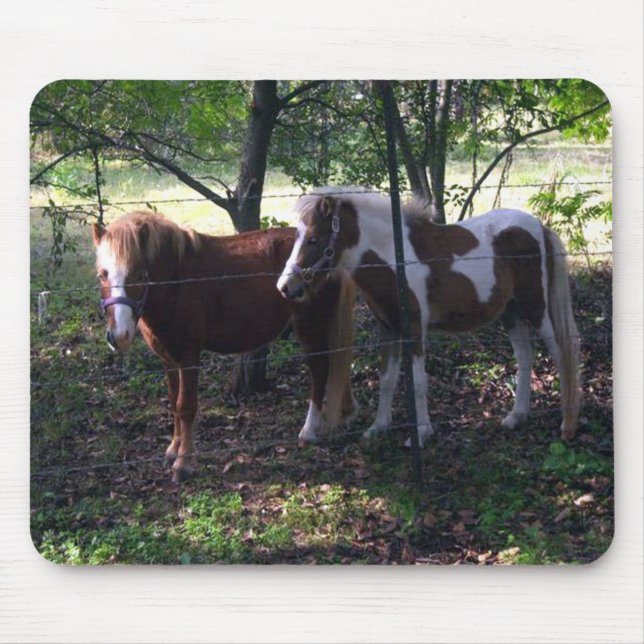 Miniature Horse Mousepad (Front)