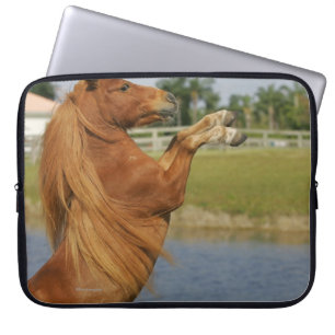 Miniature Horse Rearing Laptop Sleeve