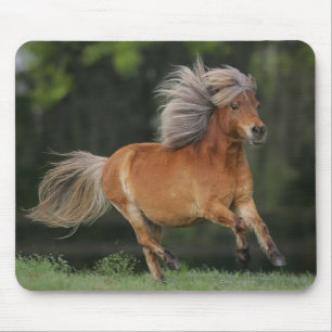 Miniature Horse Running Mouse Mat