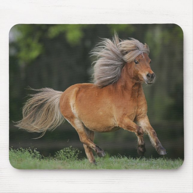 Miniature Horse Running Mouse Mat (Front)