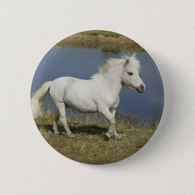 Miniature Horse Running Near Water 6 Cm Round Badge (Front)