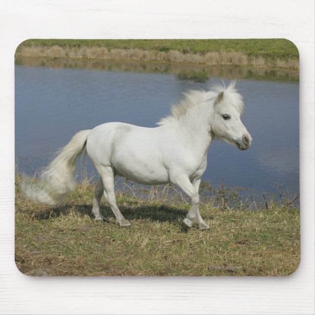 Miniature Horse Running Near Water Mouse Mat (Front)