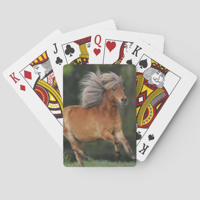 Miniature Horse Running Playing Cards (Back)