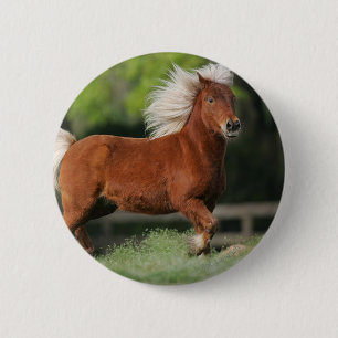 Miniature Horse Standing 6 Cm Round Badge
