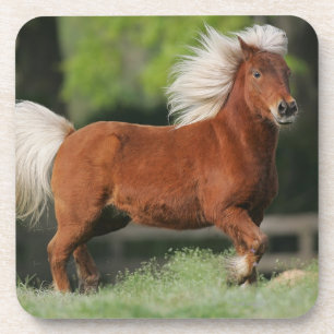 Miniature Horse Standing Coaster