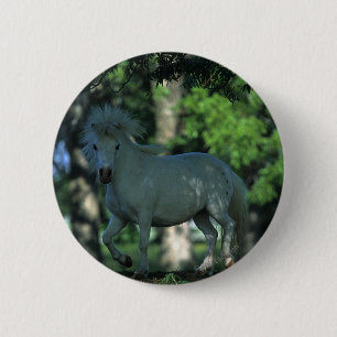 Miniature Horse Standing in the Trees 6 Cm Round Badge