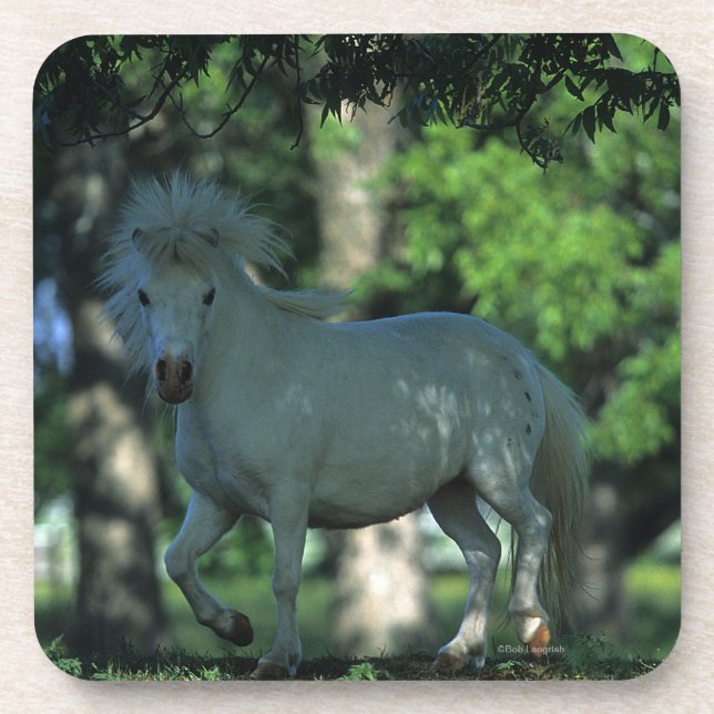Miniature Horse Standing in the Trees Coaster (Front)