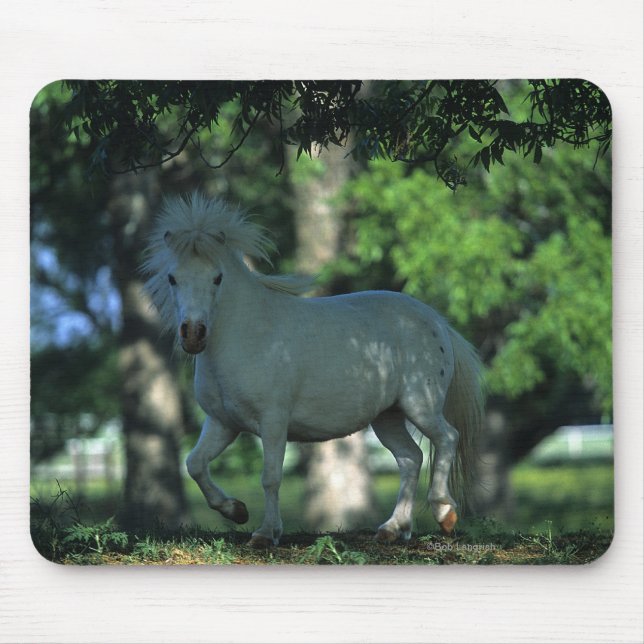 Miniature Horse Standing in the Trees Mouse Mat (Front)