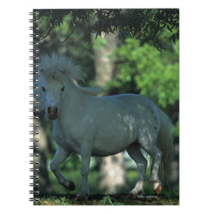 Miniature Horse Standing in the Trees Notebook
