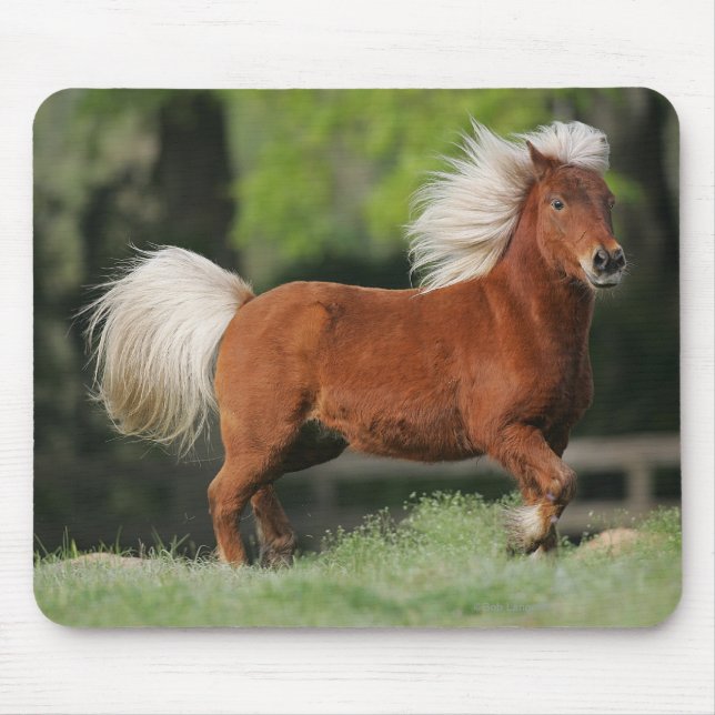 Miniature Horse Standing Mouse Mat (Front)
