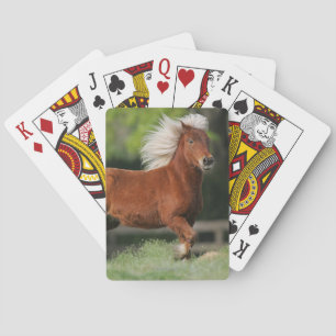 Miniature Horse Standing Playing Cards