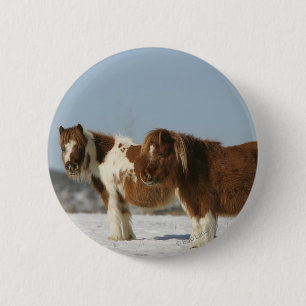 Miniature Horses Standing in the Snow 6 Cm Round Badge