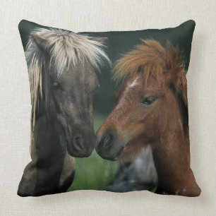 Miniature Horses Touching Cushion