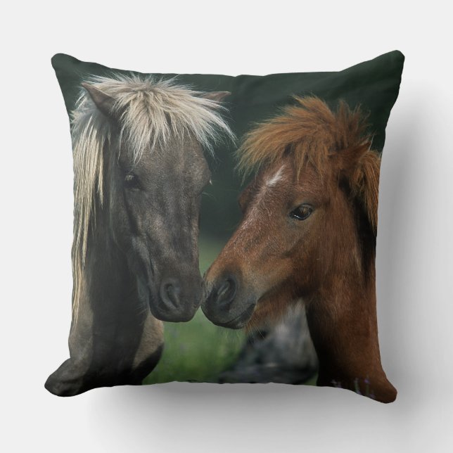 Miniature Horses Touching Cushion (Front)