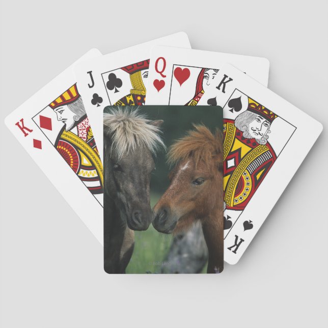 Miniature Horses Touching Playing Cards (Back)