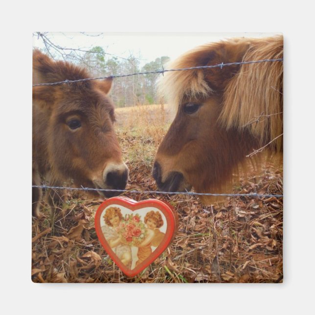 Miniature horses Valentine Red Heart Magnet (Front)