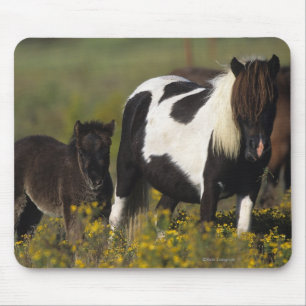 Miniature Mare & Foal in the Flowers Mouse Mat