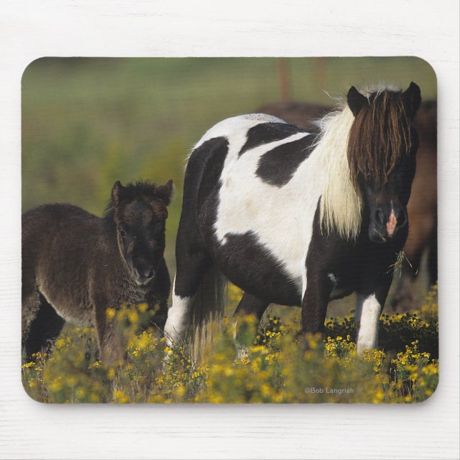 Miniature Mare & Foal in the Flowers Mouse Mat (Front)
