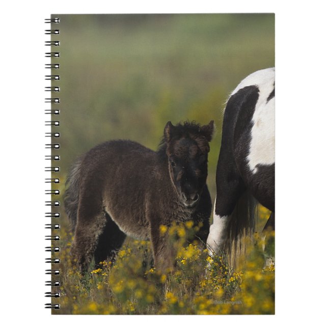 Miniature Mare & Foal in the Flowers Notebook (Front)