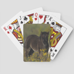 Miniature Mare & Foal in the Flowers Playing Cards