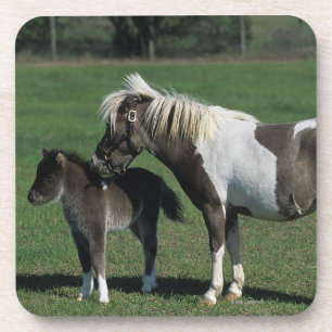 Miniature Mare & Foal Standing Coaster