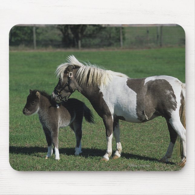 Miniature Mare & Foal Standing Mouse Mat (Front)