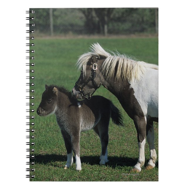 Miniature Mare & Foal Standing Notebook (Front)