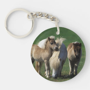 Miniature Mare & Foals 1 Key Ring