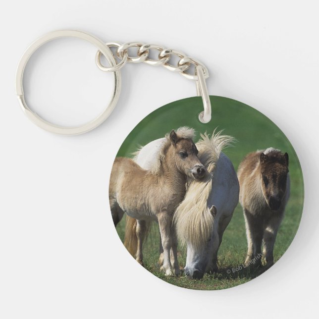 Miniature Mare & Foals 1 Key Ring (Front)
